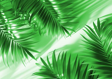 Green Palm Leaves with Shadow