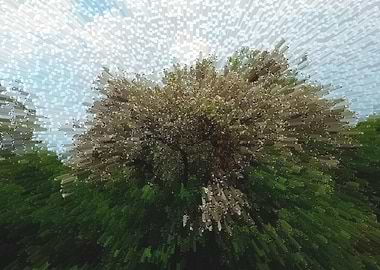 Abstract Tree with Blossoms