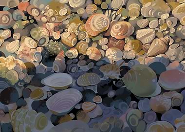 Seashells and Pebbles on the Beach