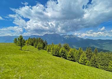 Green Meadow with Mountain View