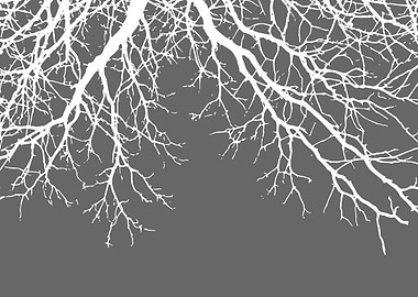 White Tree Branches on Gray Background