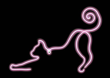 Neon Cat Silhouette on Black