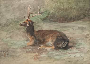 Resting Deer Watercolor Painting