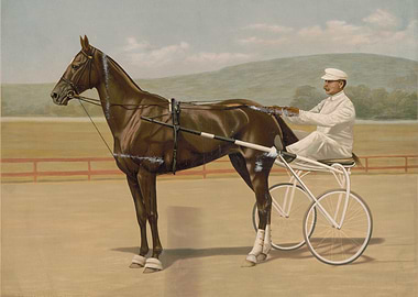 Harness Racing Horse and Driver Painting