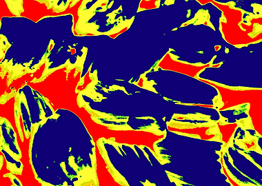 Abstract Red, Yellow, and Blue Pattern