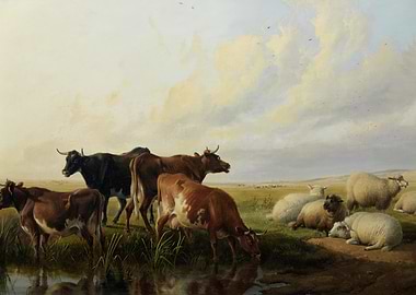 Cows and Sheep in a Meadow