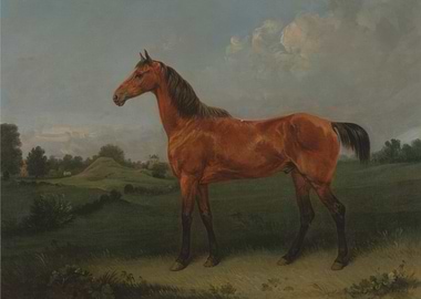 Horse Portrait in Landscape Painting
