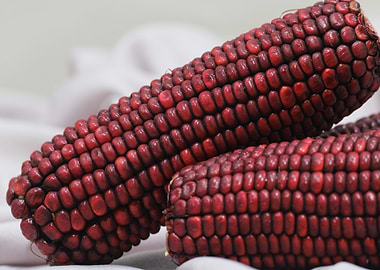 Red Corn Cobs on White Fabric