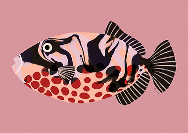 Stylized Fish Illustration on Pink Background