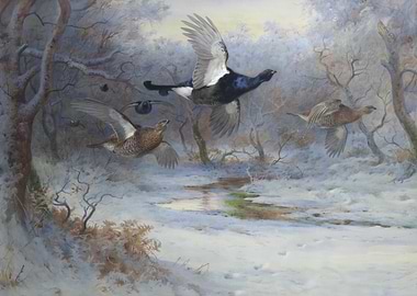 Birds Flying Over Snowy Landscape Painting