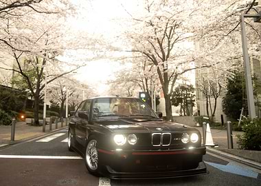 Black BMW E30 M3 Cherry Blossoms