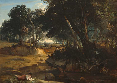 Woman Reading by Stream in Forest