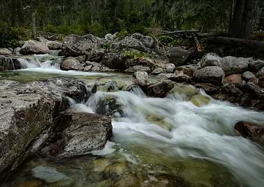 Mountain Stream in the High Tatras