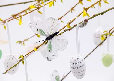 Easter Decoration with Butterfly and Eggs