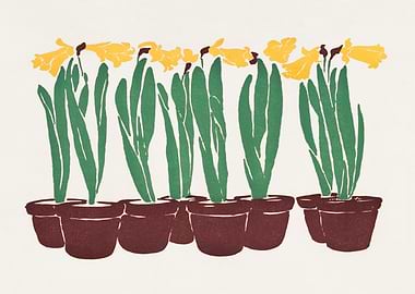 Daffodils in Pots Illustration