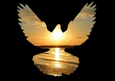 Dove Silhouette Sunset