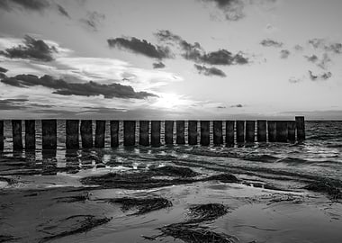 Monochrome Seascape with Wooden Posts