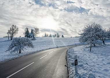 Winter road with snow-covered trees
