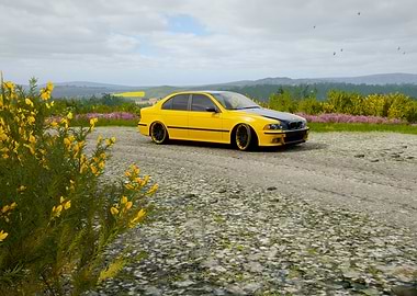 BMW Yellow Car on a Country Road