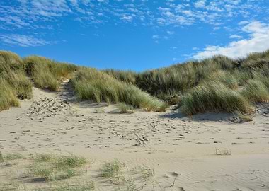 Sandy dunes with grass under blue sky