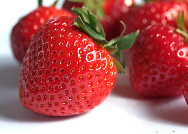 Fresh Strawberries on White Background