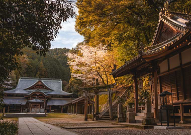 Japanese Forest Temple in Shikoku