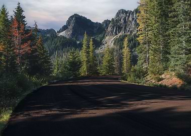 A Journey Through Shadow and Light