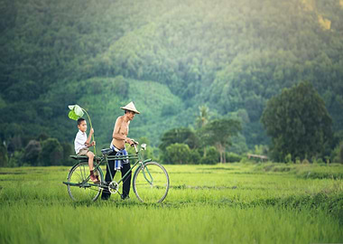 Father and Son on Bicycle in Field