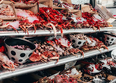Fresh Seafood Display at Market