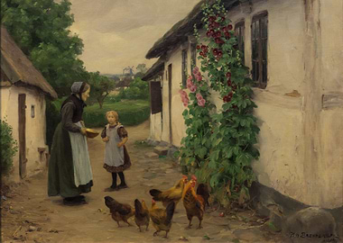 Feeding Chickens in a Rural Setting