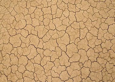Cracked Earth Texture
