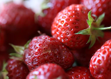 Fresh Red Strawberries Close-Up