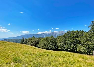 Mountain Landscape with Meadow and Trees