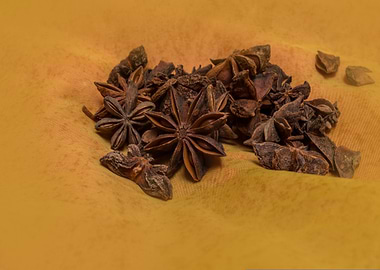Star Anise on Golden Fabric