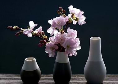Cherry Blossoms in Vases Still Life