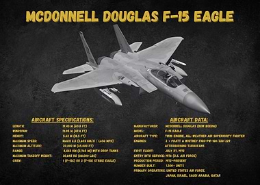 McDonnell Douglas F-15 Eagle Poster