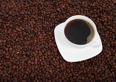 Coffee Cup on Coffee Bean Background