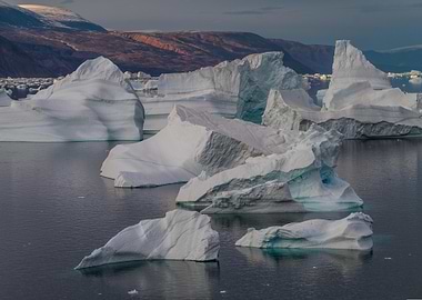 Icebergs in Arctic Waters