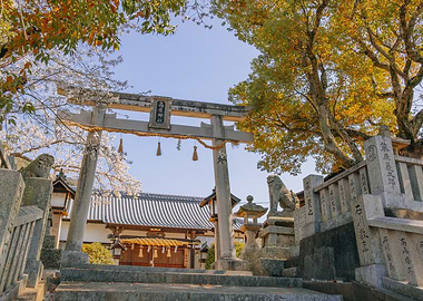 Japanese Shrine Entrance in Spring