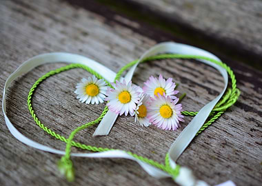 Daisy Heart with Ribbon and String