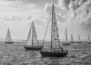 Sailboats on the Water in Black and White