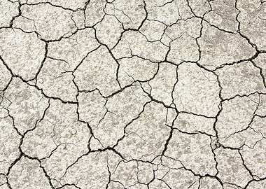 Cracked Earth Texture