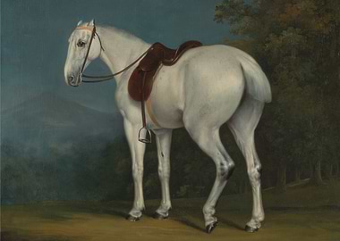 White Horse with Saddle Painting