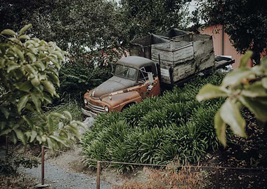 Vintage Truck in Overgrown Garden