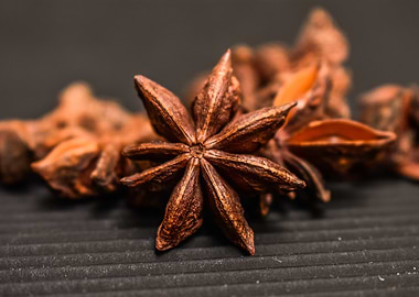 Star Anise Spice Close-Up