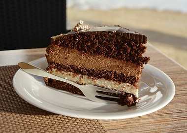 Slice of Chocolate Layer Cake