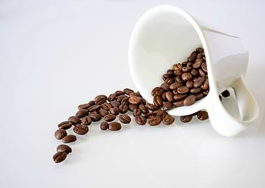 Coffee beans spilling from a white cup