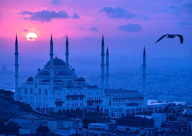 mosque at sunset with bird