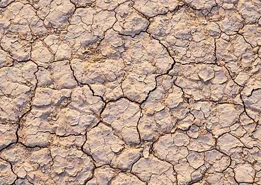 Cracked Earth Texture