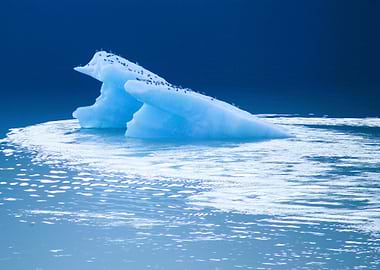 Iceberg with Birds in Blue Water
